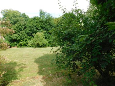 Viager maison Jujurieux 01640 Ain 91 m2 5 pièces 40000 euros