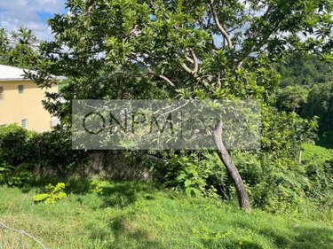 Terrain a batir a vendre Ducos 97224 Martinique 1405 m2  170000 euros