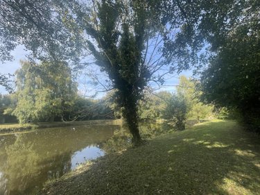 Terrains de loisirs bois etangs a vendre Lombron 72450 Sarthe 5800 m2  19800 euros