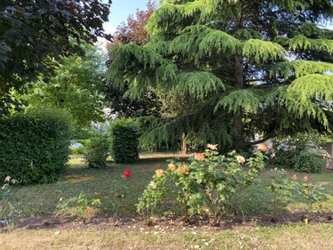 Maison a vendre Rives-du-Loir-en-Anjou 49140 Maine-et-Loire 134 m2 6 pièces 317210 euros