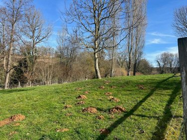 Maison a vendre Saint-Denis-de-Mailloc 14100 Calvados 217 m2 10 pièces 344200 euros