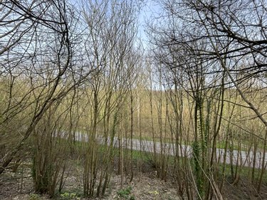 Divers a vendre Corbie 80800 Somme 7990 m2  17000 euros