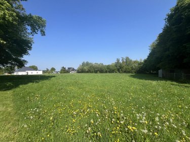 Terrain a batir a vendre Taupont 56800 Morbihan 2096 m2  98860 euros
