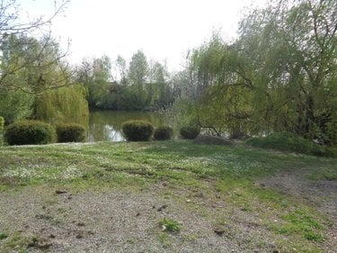 Terrains de loisirs bois etangs a vendre Annezin 62232 Pas-de-Calais 7918 m2  136500 euros