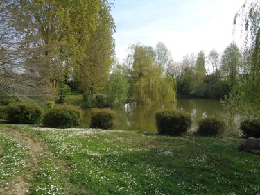Terrains de loisirs bois etangs a vendre Annezin 62232 Pas-de-Calais 7918 m2  136500 euros