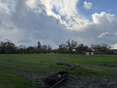 Terrains de loisirs bois etangs a vendre Livarot-Pays-d'Auge 14140 Calvados 20000 m2  53000 euros