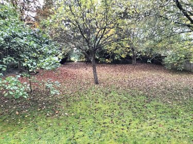 Maison a vendre Férin 59169 Nord 95 m2 5 pièces 242700 euros