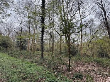 Divers a vendre Fumichon 14590 Calvados 17939 m2  19500 euros