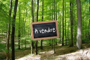 Terrains de loisirs bois etangs a vendre Rimboval 62990 Pas-de-Calais 1390 m2  2963 euros