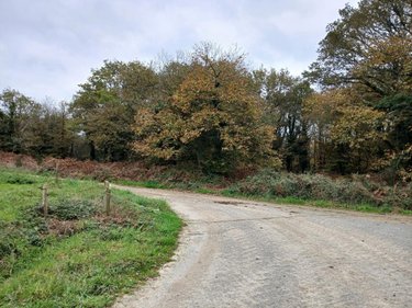Terrains de loisirs bois etangs a vendre Allaire 56350 Morbihan 7515 m2  9600 euros