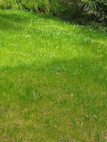 Terrain a batir a vendre Theix-Noyalo 56450 Morbihan 1473 m2  382472 euros