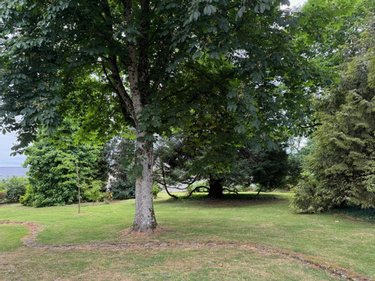 Maison a vendre Vessey 50170 Manche 173 m2 8 pièces 350000 euros