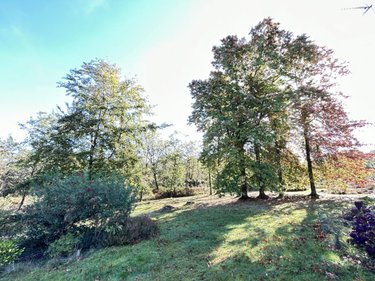 Maison a vendre Monteneuf 56380 Morbihan 160 m2 6 pièces 348000 euros