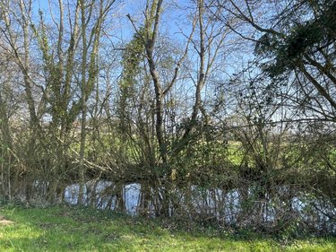 Maison a vendre Sillé-le-Philippe 72460 Sarthe 89 m2 3 pièces 93000 euros