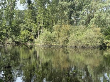 Terrains de loisirs bois etangs a vendre Daours 80800 Somme 7080 m2  28000 euros