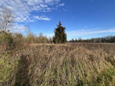 Terrain a batir a vendre Veslud 02840 Aisne 2510 m2  30000 euros