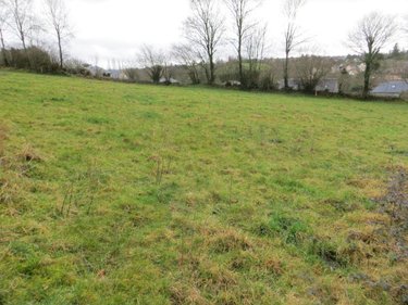 Terrain a batir a vendre Roullours 14500 Calvados 1100 m2  36000 euros