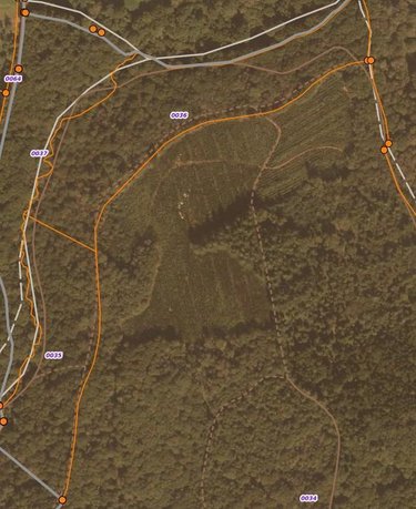 Terrains de loisirs bois etangs a vendre Moustoir-Ac 56500 Morbihan 77700 m2  43600 euros