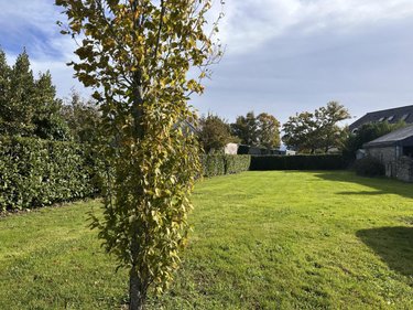 Terrain a batir a vendre Vannes 56000 Morbihan 473 m2  268058 euros