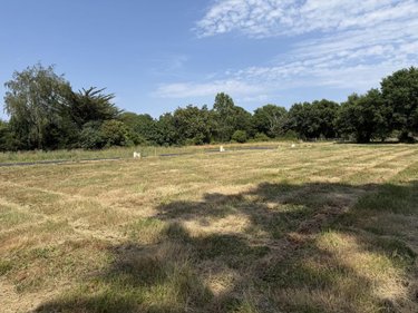 Terrain a batir a vendre Péaule 56130 Morbihan 430 m2  70250 euros