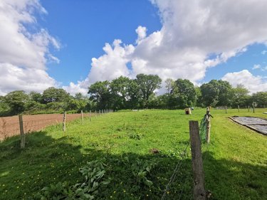 Maison a vendre Cavan 22140 Côtes-d'Armor 131 m2 6 pièces 353610 euros