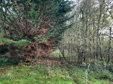 Terrains de loisirs bois etangs a vendre Aizenay 85190 Vendée 12772 m2  54000 euros