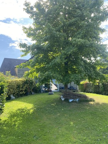 Maison a vendre Vire-Normandie 14500 Calvados 90 m2 5 pièces 179350 euros