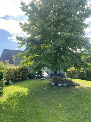 Maison a vendre Vire-Normandie 14500 Calvados 90 m2 5 pièces 177240 euros