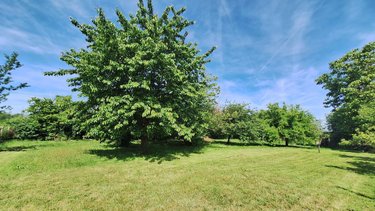 Maison a vendre Gorrevod 01190 Ain 107 m2 5 pièces 185000 euros
