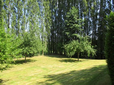 Maison a vendre La Baroche-sous-Lucé 61330 Orne 100 m2 7 pièces 197000 euros