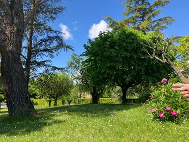 Maison a vendre Saint-Étienne-les-Orgues 04230 Alpes-de-Haute-Provence 158 m2 5 pièces 335000 euros