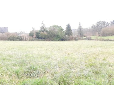 Terrain a batir a vendre Neuil 37190 Indre-et-Loire 5063 m2  131400 euros