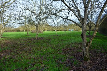 Terrains de loisirs bois etangs a vendre Grez-en-Bouère 53290 Mayenne 9026 m2  37450 euros