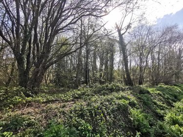 Terrains de loisirs bois etangs a vendre Trégonneau 22200 Côtes-d'Armor 23203 m2  15000 euros