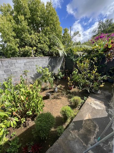 Maison a vendre Saint-Pierre 97410 Réunion 60 m2 3 pièces 144600 euros