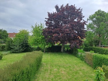 Maison a vendre Licques 62850 Pas-de-Calais 115 m2 5 pièces 177620 euros