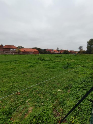 Maison a vendre Ecques 62129 Pas-de-Calais 100 m2 5 pièces 249600 euros