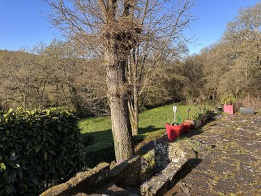 Maison a vendre Saint-Nolff 56250 Morbihan 327 m2  486840 euros