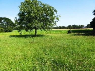 Maison a vendre Belz 56550 Morbihan 120 m2 5 pièces 367000 euros