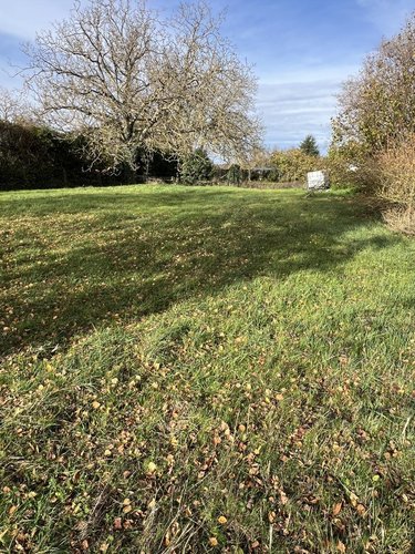 Terrain a batir a vendre Binas 41240 Loir-et-Cher 1430 m2  28000 euros