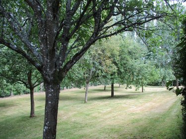 Maison a vendre La Baroche-sous-Lucé 61330 Orne 100 m2 7 pièces 197000 euros