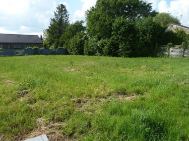 Terrain a batir a vendre Cagnoncles 59161 Nord 780 m2  62800 euros