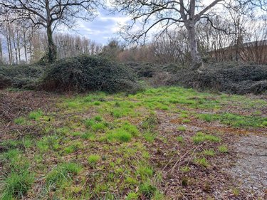 Maison a vendre Mézières-sur-Ponthouin 72290 Sarthe 100 m2  74550 euros