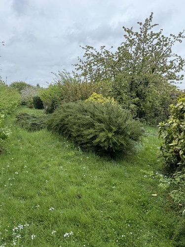 Terrain a batir a vendre Solesmes 59730 Nord 1372 m2  64800 euros