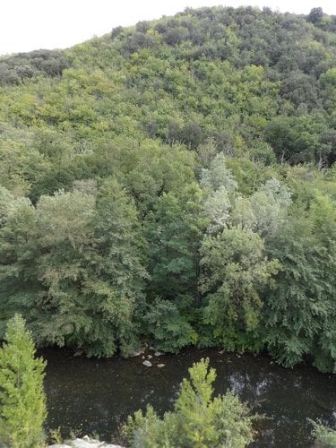 Maison a vendre Le Vigan 30120 Gard 48 m2 2 pièces 265000 euros