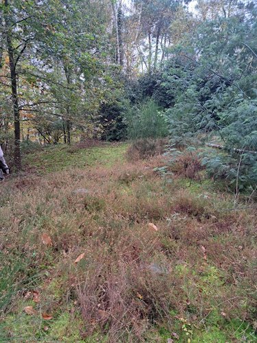 Terrains de loisirs bois etangs a vendre Arnage 72230 Sarthe 10000 m2  27000 euros