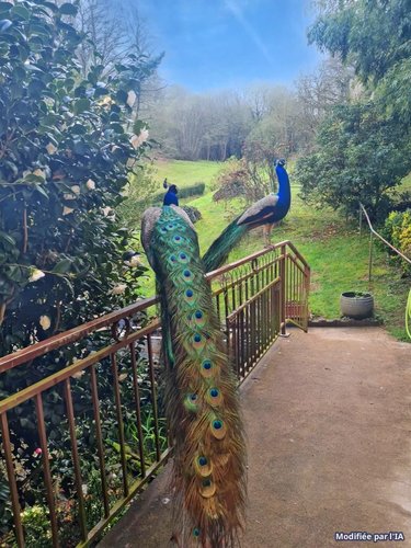 Maison a vendre Rohan 56580 Morbihan 338 m2 14 pièces 586540 euros