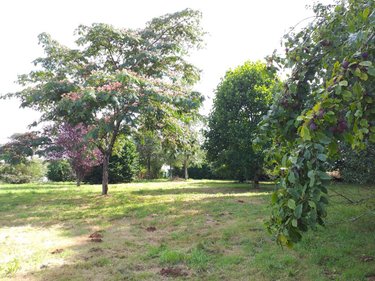 Maison a vendre Locqueltas 56390 Morbihan 150 m2 9 pièces 825372 euros