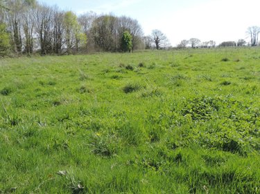 Maison a vendre Plestin-les-Grèves 22310 Côtes-d'Armor 200 m2 8 pièces 431700 euros