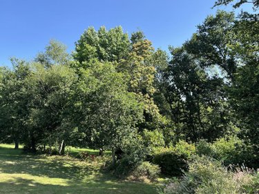 Maison a vendre Pleuven 29170 Finistère 170 m2 5 pièces 815100 euros